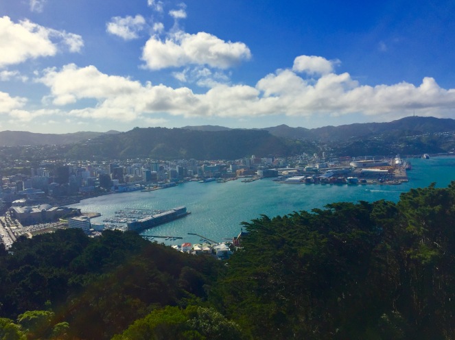 Wellington as seen from Mount Victoria